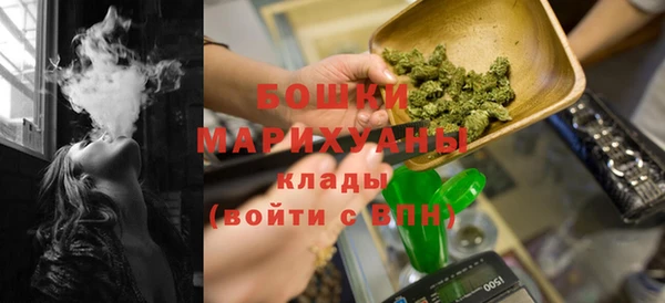 spice Карпинск