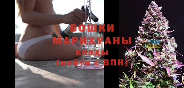 spice Карпинск