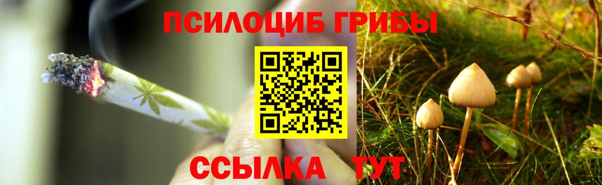 Лангепас  Галлюциногенные грибы мухоморы  Вход с VPN 